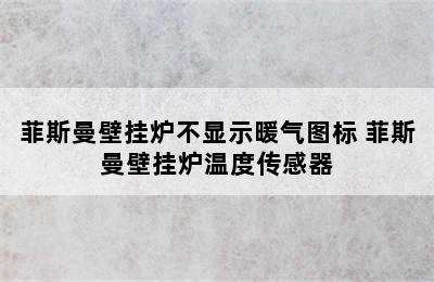 菲斯曼壁挂炉不显示暖气图标 菲斯曼壁挂炉温度传感器